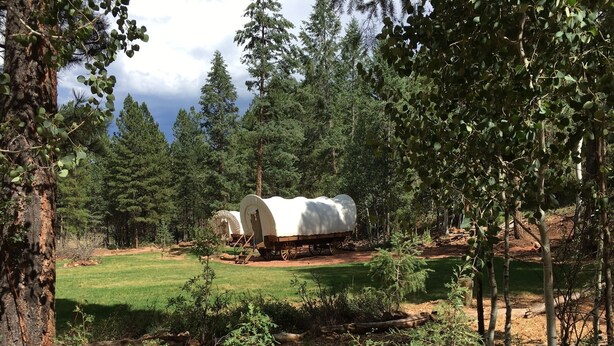 A covered wagon in a forest clearing.