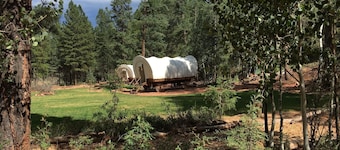 Experience the Wild West in Luxury!