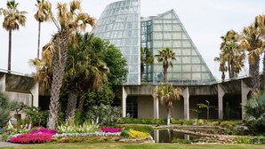 Un edificio moderno con fachada de vidrio y un jardín con palmeras y flores coloridas.