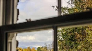 A window with a view of trees and a cloudy sky.