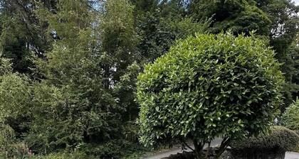 Luxe 3-Bed Duplex | Pet Friendly | EV-charging.