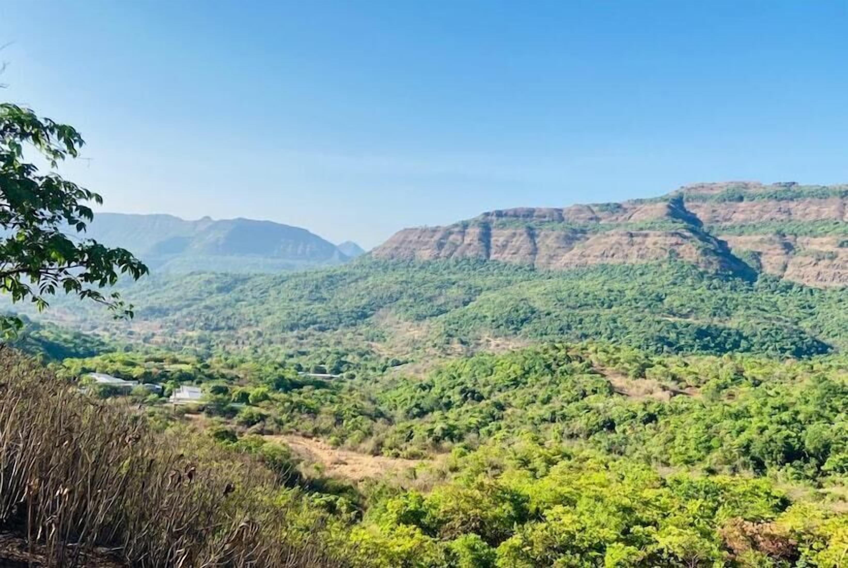 A mountainous landscape with dense greenery and a clear sky.