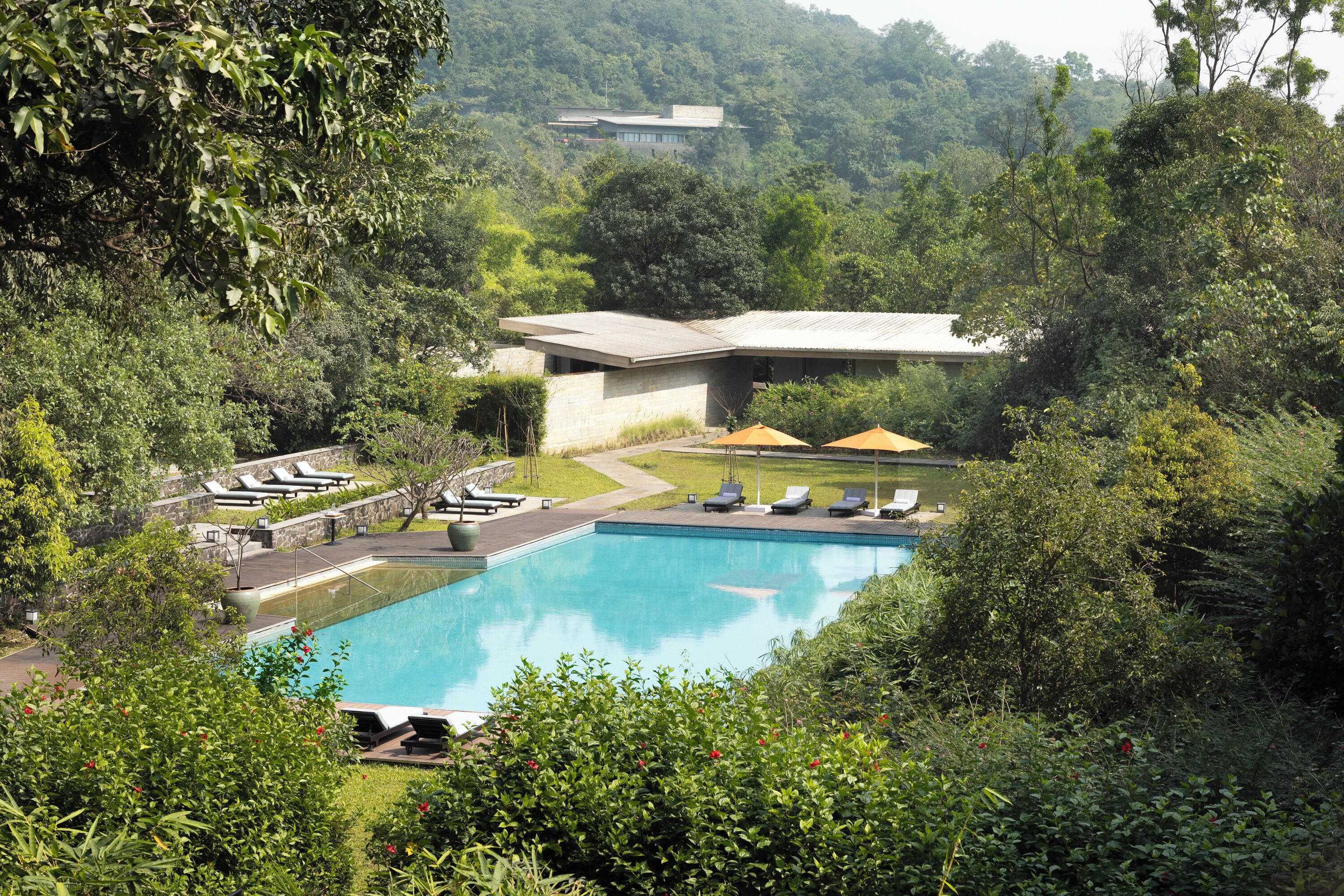 A swimming pool surrounded by lush greenery, with lounge chairs and a building in the background.