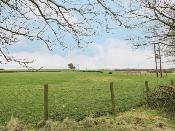 Golf - Rosalin Cottage (Irvine)