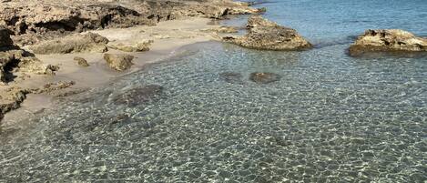 Chaises longues, serviettes de plage