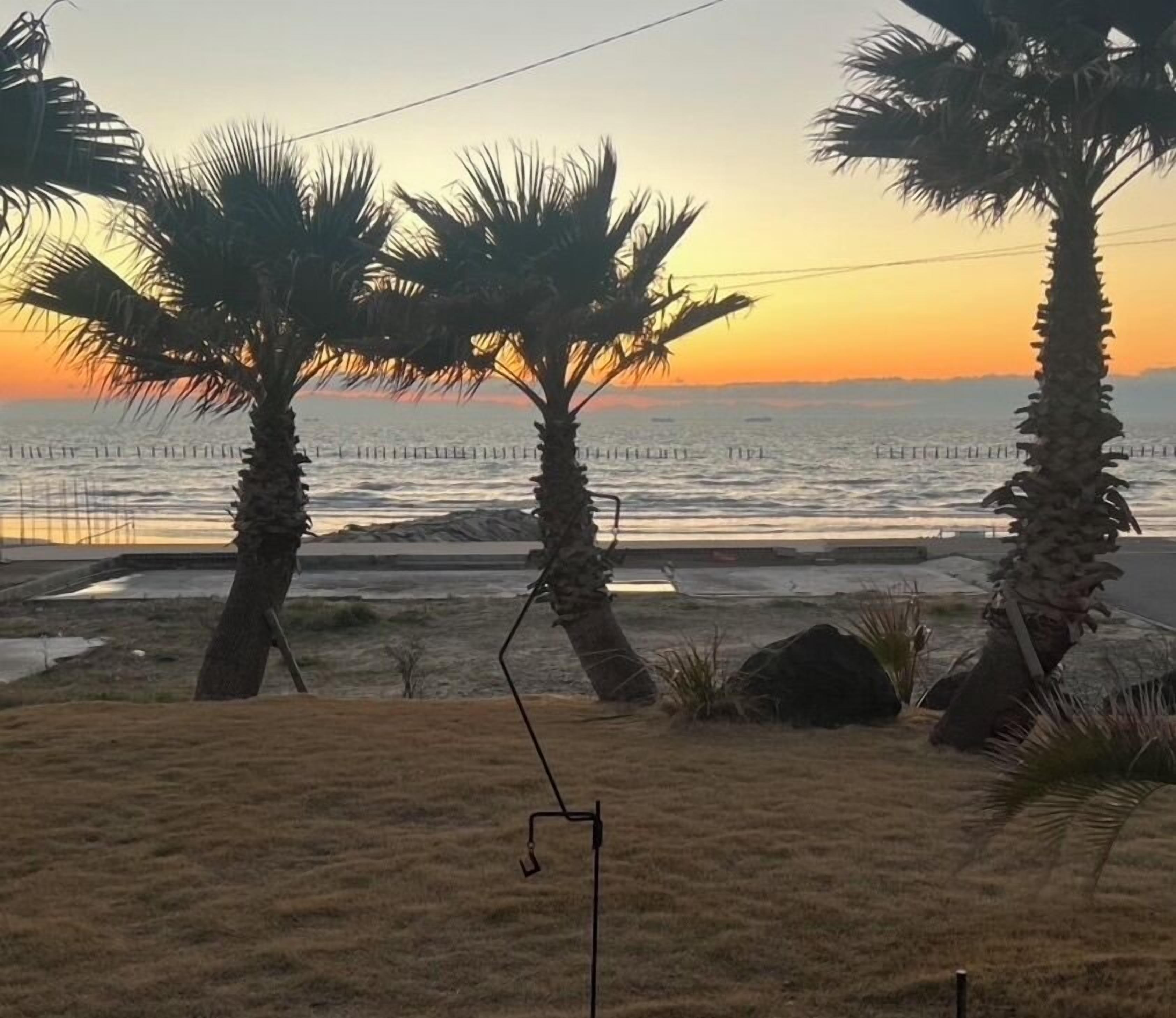 A beach scene with palm trees and a view of the ocean at sunset.