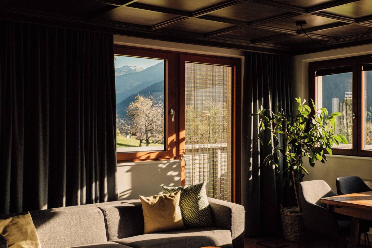 A room with a sofa, a dining table, and a potted plant.