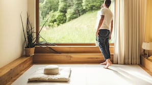 Una habitación con un gran ventanal, piso de madera, una planta en maceta y un cojín.