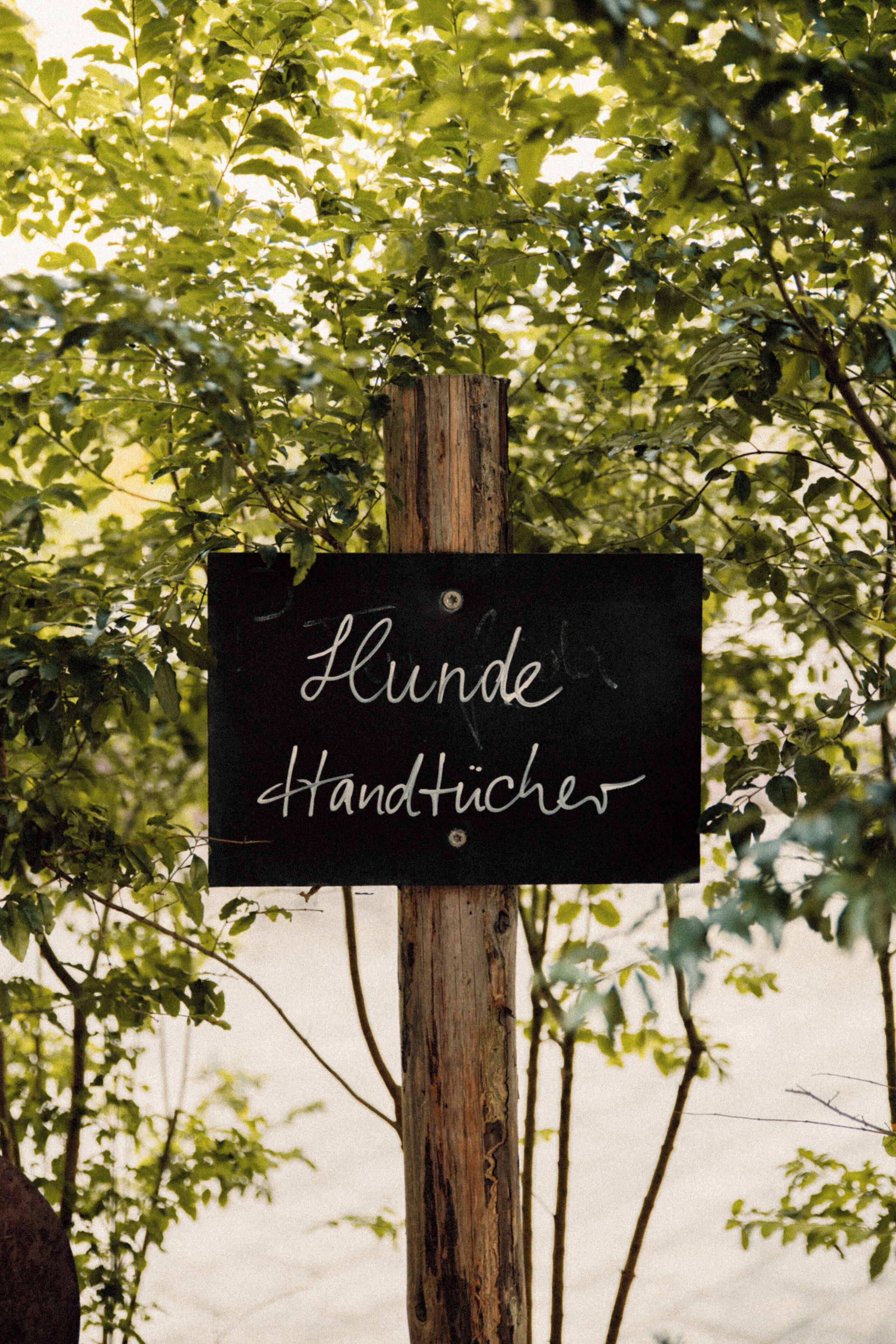 Ein Schild mit dem Schriftzug "Flunde Handticher" an einem Holzpfosten befestigt, umgeben von grünem Blattwerk.