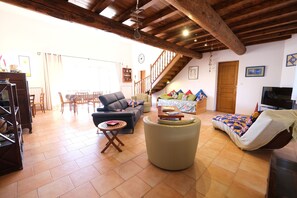 TV, ping pong - Vacation rental house with pool AUREILLE LS1-439 (Aureille)
