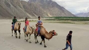 A group of people riding camels in a desert landscape with mountains in the background.