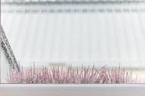 A window with raindrops and pink flowers at the bottom.