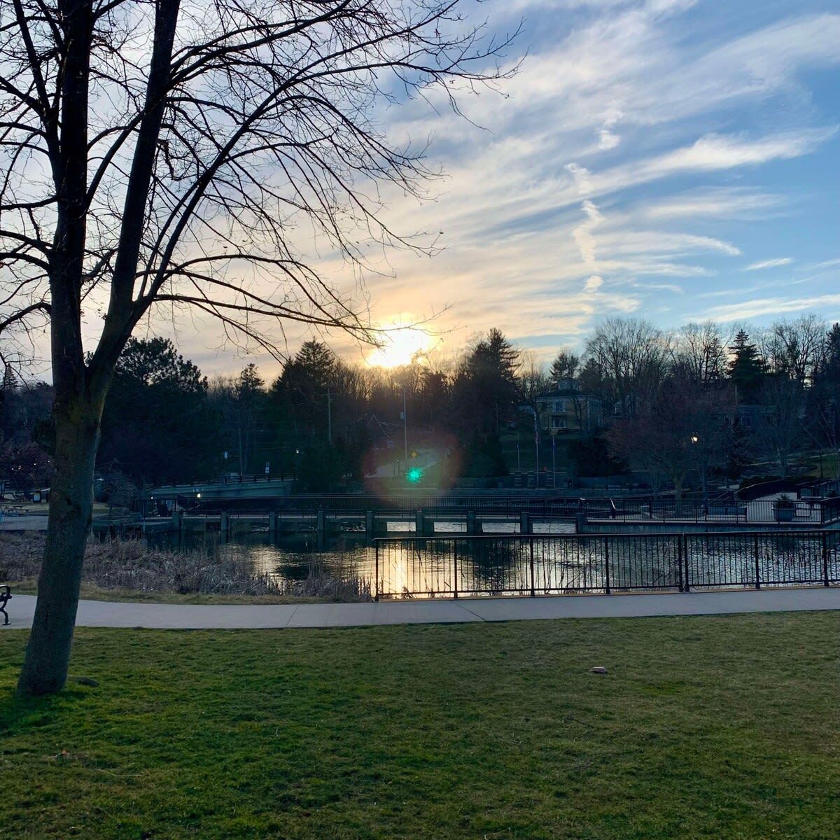 A park with a lake, a walking path, and a bridge.
