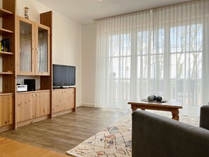 Tv, eldstad och en stereo