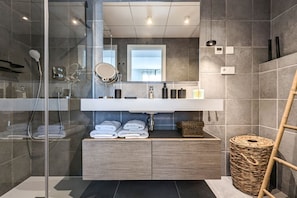 Shower, hair dryer, towels