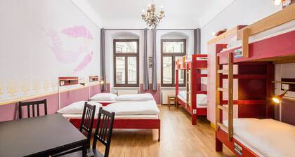 Bett im 6-Bett-Frauenzimmer mit Etagendusche/WC im Hostel Mondpalast