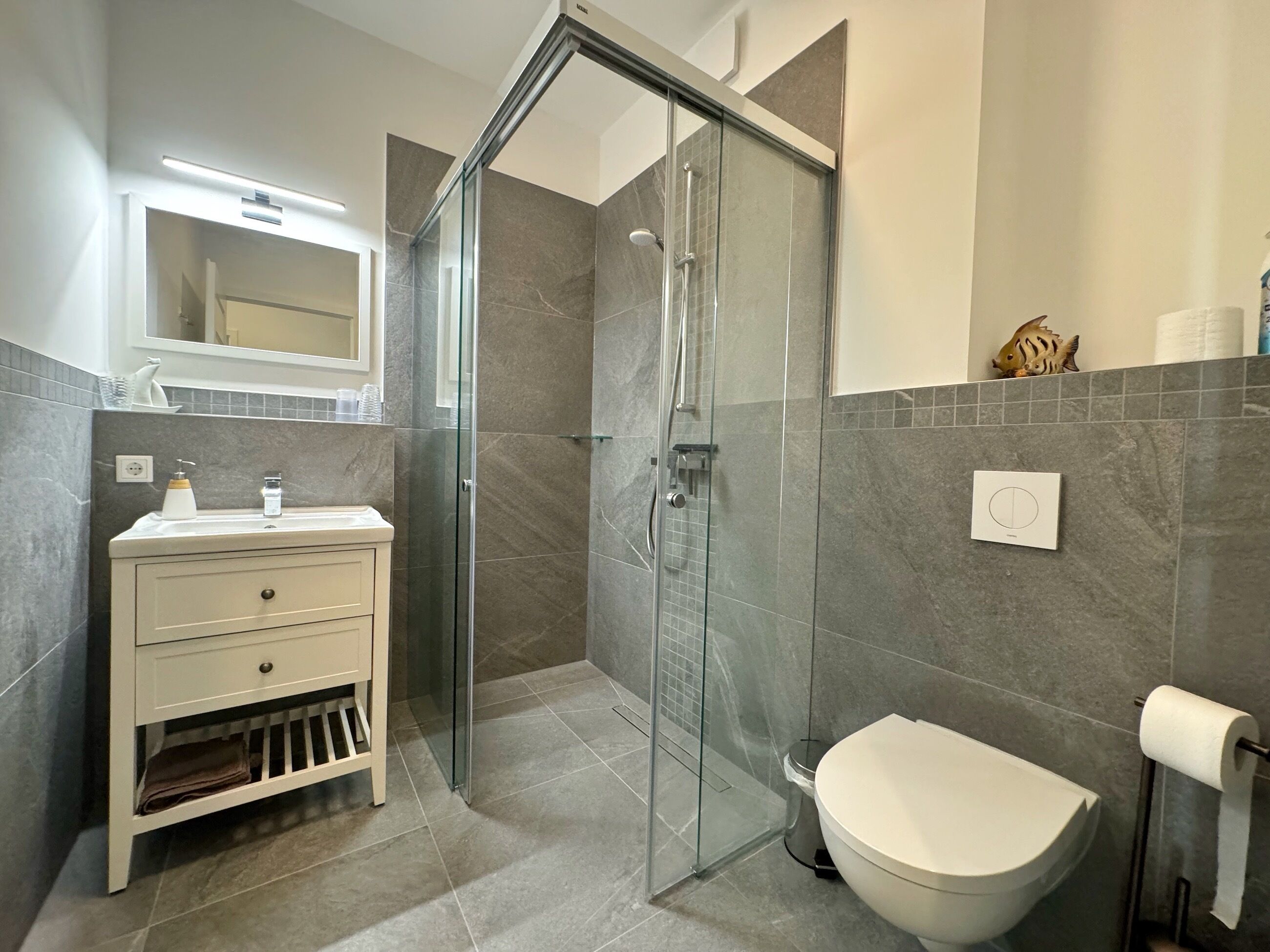 Shower, hair dryer