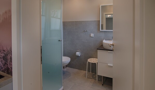 A modern bathroom with a glass shower enclosure, a toilet, a sink, and a mirror. - Haus 2 Ferienwohnung 4 (Schierke)