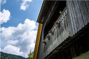 Exterior detail - Traditional homestead Guhar in Radovna Valley (Kranjska Gora)