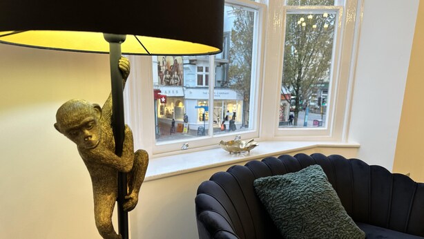 A room with a black leather sofa, a green throw pillow, a floor lamp with a monkey figurine, and a view of the street through a window. - Captivating 2-bed Apartment in Brighton (Brighton)