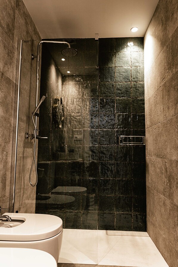 Shower, hair dryer, bidet, towels