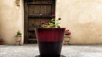 Terrein van de accommodatie