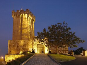 A historic stone castle with a tall central tower, a paved entrance, and a large tree in the foreground.