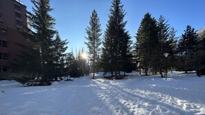 A snow-covered outdoor area with tall evergreen trees and a building in the background. - Cozy Studio with Balcony, Sleeps 3, Near Slopes and Amenities (La Salle-les-Alpes)