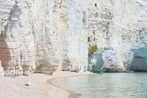 Beach - The house in the woods (Mattinata)