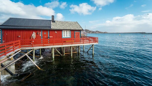 Udendørsområde