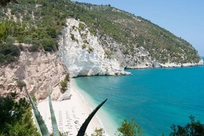 Beach - The house in the woods (Mattinata)