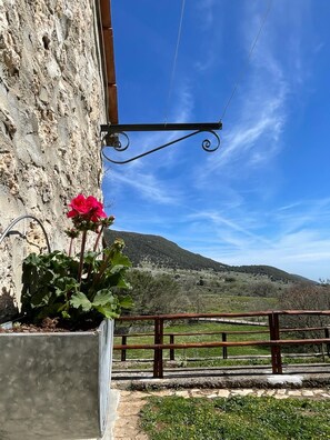 Property grounds - The house in the woods (Mattinata)