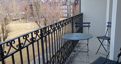 Apartement Dans un Parc A 5 mn à pied du centre ville Idéal curiste WIFI Parking