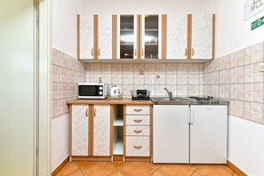 Fridge, stovetop, cookware/dishes/utensils