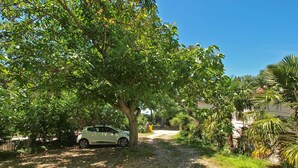 Un camí pavimentat que s'enduu per un jardí amb una cotxe blanc aparcat sota un arbre gran.
