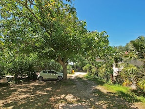 المنطقة المحيطة بالمنشأة