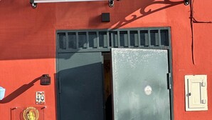 Exterior detail - 1 bedroom apartment in ercolano (Ercolano)