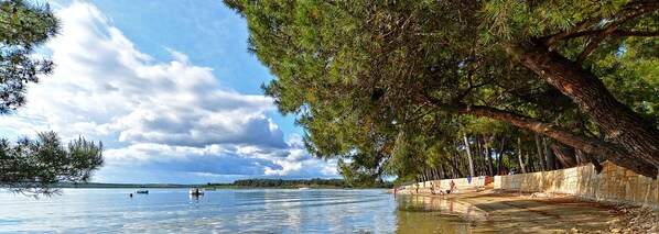 Guests can enjoy serene lakeside views from a rustic wooden deck surrounded by lush greenery.