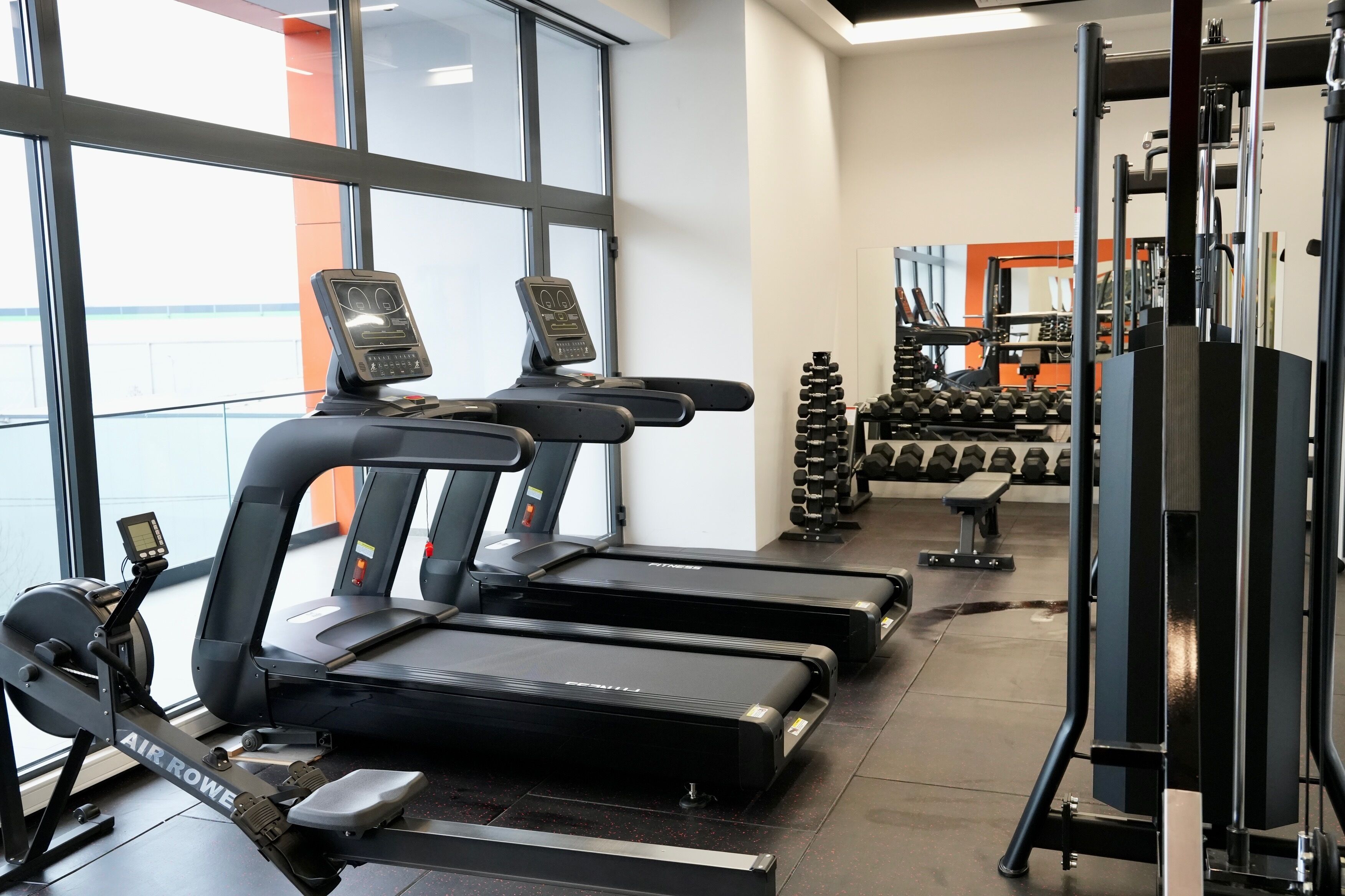 A gym with treadmills, a rowing machine, and free weights.