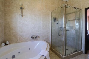 Habitación Premium con 1 cama doble o 2 individuales | Baño | Ducha, artículos de higiene personal gratuitos y secador de pelo