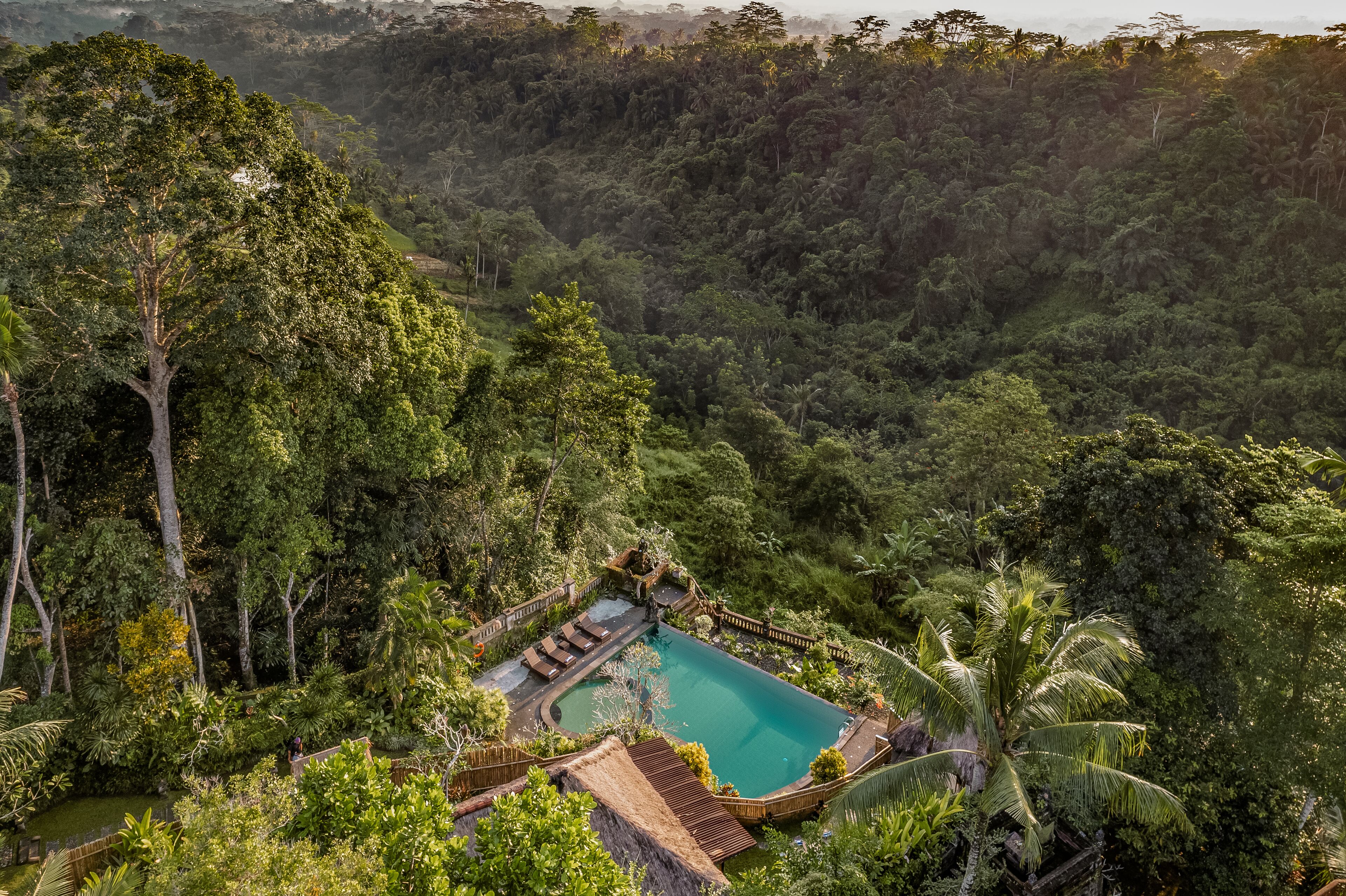 室外游泳池，提供日光浴躺椅
