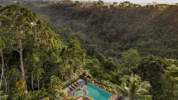 Une piscine entourée d’une végétation luxuriante et dotée d’une terrasse en bois.