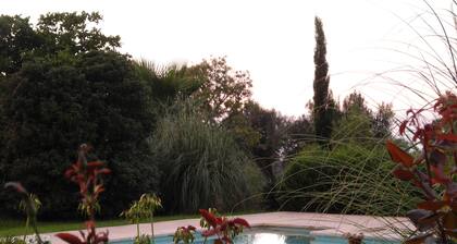 Finca Son Beltran: Grandes Vistas en el Corazón de la Tramuntana