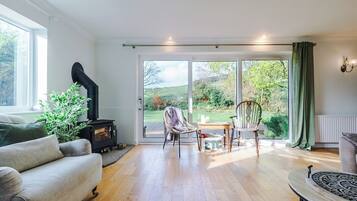 TV, fireplace, video games, DVD player