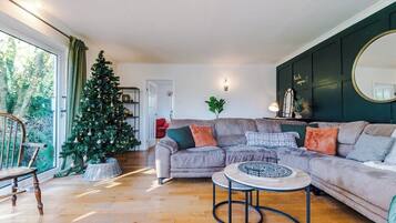 TV, fireplace, video games, DVD player