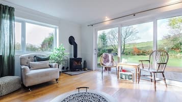 TV, peis, videospill og DVD-spiller