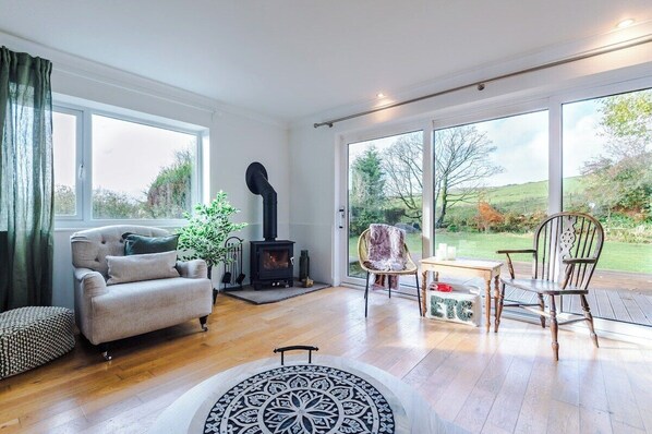 TV, fireplace, video games, DVD player