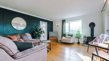 TV, fireplace, video games, DVD player