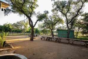 Un parc avec des tables de pique-nique, un petit abri vert et des arbres.