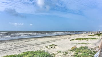 Apartment (1 Bedroom) | Innenbereich